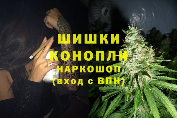 дживик Армянск