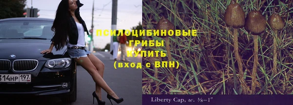 дмт Аркадак