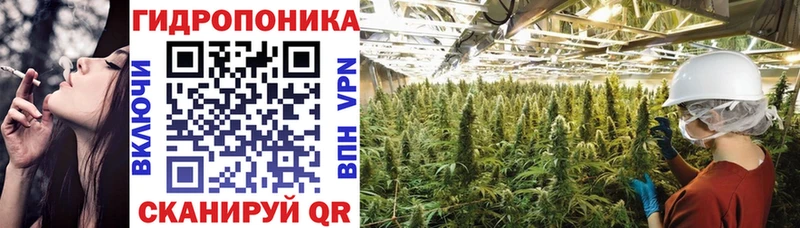 Канабис сатива  Ессентуки 